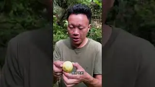 Forest adventure Videos Tamil series 13