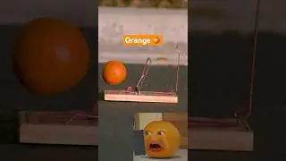 Reacting to fruit dropped on a mousetrap!!!! 🍌🍏🍊 @LegendaryShots