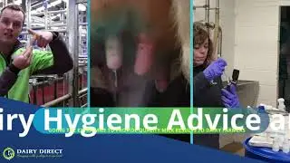Experts in Dairy Hygiene - Dairy Direct