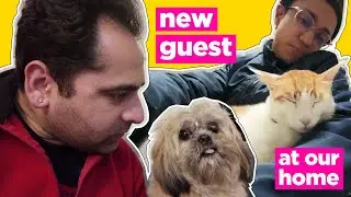 Kya Hume Ek Dog Bhi Adopt Kar Lena Chahiye? 🐶🤍  #gay #delhi #love #queer #dailyvlog #gayyoutubers