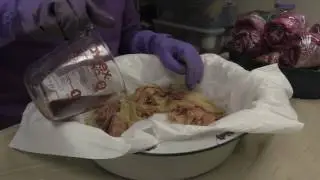 Dyeing Sari Ribbon