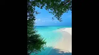 Beach days at Samura Maldives 💙#shorts