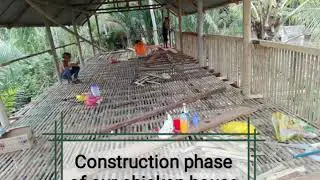 Small Scale Poultry Farming