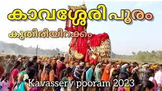 #kavassery | കാവശ്ശേരി പൂരം കുതിരയിറക്കം 2023 | kavassery pooram 2023 | palakkad