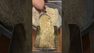 This Man Breaks a 20kg Cashew Block Alone 😱😉😱||#shorts