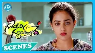 Gunde Jaari Gallantayyinde Movie - Nitin, Nithya Menon Best Scene