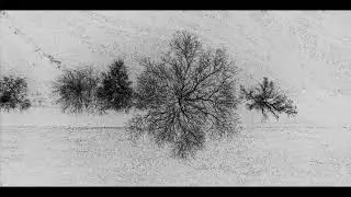 ACIM Lesson 20 - I am determined to see.