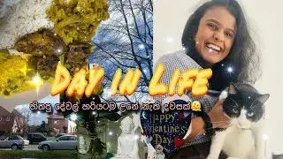 හිතපු දේවල් හරියටම උනේ නැති දවසක්..🫠 day in my life #youtube #viralvideo #life #day #life #video