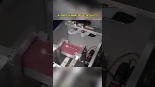 Automatic Laser Marking System | Triumphlaser