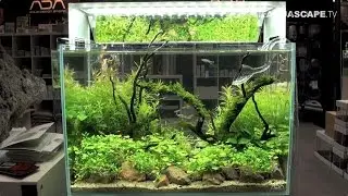 Planted aquariums of Heimtiermesse 2015, Hannover - part 1