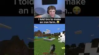 I told bro to make a iron farm 😂
