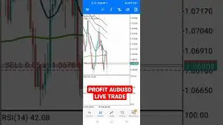 Profit in Live Trade AUDUSD EURUSD