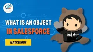 What is an Object in Salesforce | Salesforce Tutorial For Beginners | i-React Cloud Consultant