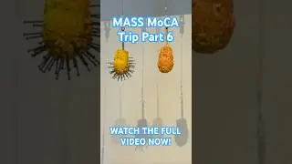 THE FIRE NEXT TIME - Steve Locke - MASS MoCA