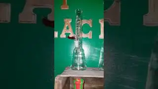 Kelly's Green Lounge tour