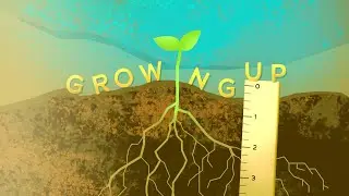 Sermon | Growing Up | Peter: Growing Through Redemption | 1