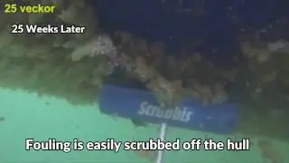 Fouling Test for AquaMarine Hull