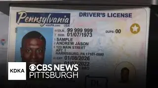 Long lines form at Pittsburgh-area DMV as drivers make switch to Real ID