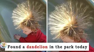 People Share Discoveries That Will Leave You in Awe
