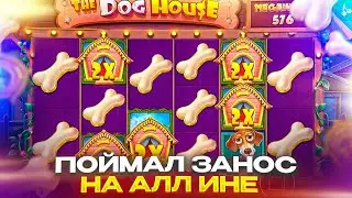 ALL IN СЕССИЯ В DOG HOUSE MEGAWAYS ! У МЕНЯ СКОРО ПОЕДЕТ КРЫША ! КАМБЭК НЕДЕЛИ !