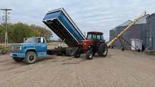 Стебли не поддаются!