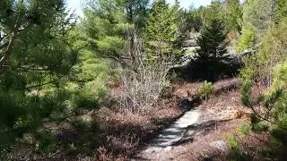 Beautiful Views heading to Straightback Mountain on the Belknap Range Trail