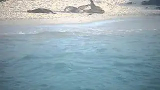 Beach Commander