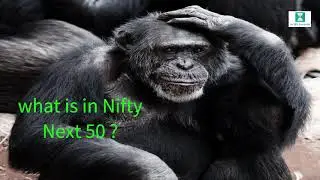 What is Nifty Next 50? ? Nifty Junior? Nippon Junior BeES investment