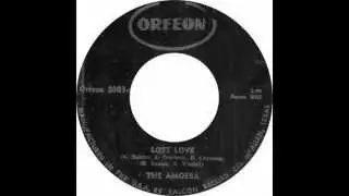 The Amoeba - Lost Love