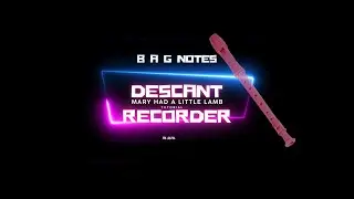 How to play Mary had a little lamb on a descant recorder. B A G NOTES EXPLAINED!!