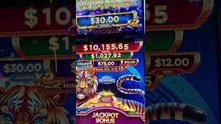 Magic Treasures Tiger JACKPOT BONUS on ➡$1.20/BET!