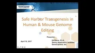 Safe Harbor Transgenesis in Human & Mouse Genome Editing