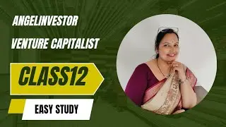 Angel Investor and Venture capitalist class 12 Entrepreneurship Detailed explanation 