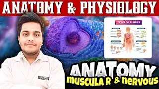 Muscular & Nervous Tissue | Types & Location | Anatomy & Physiology | PD Academy Medical|