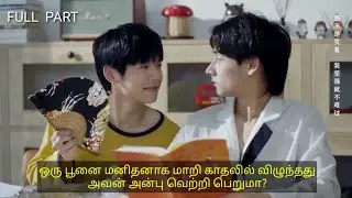 Cute love story between a cat and an human boy || Tamil Explain || Full episodes
