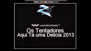 Lan&ccedil;amento de funk 2013 - Aqui t&aacute; uma Delicia (Z3VIDEOS) LAN&Ccedil;AMENTO 2013/2014