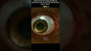 WereWolf Transformation On Full Moon🌙Night Thriller Horror || Short Movie Explanation #viralshorts