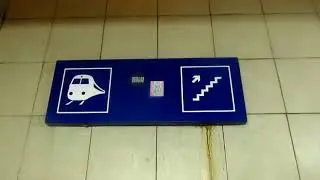 A Full Tour Of Bayside Dart Station With Special Guest  !!!