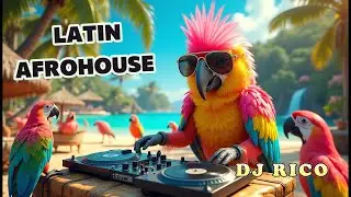 🎧 DJ Rico the Funky Parrot | Latin Afro House Sunset Tropical Party 🌴🔥  Funky Animals DJ in The Mix