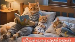 #වටිනාම කාලය දරුවන් සඳහායි 💕,#The Most Valuable Time is for Children ❤️ |#lonely mamacat 💕❤️,