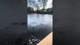 A Rare Winter Moment: Frozen City Lake in Germany