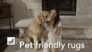 My Magic Carpet Washable Rug | Perfect for Pets (:29) | BuyMyMagicCarpet.com