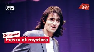Goldman : Fièvre et mystère