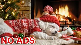 12 Hours Peaceful Dog Relaxation 🎵 Sleep Music for Anxious Dogs 🐶 Anti-Stress Therapy 💤 Ad-Free