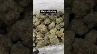 Lemon Cherry Gelato 🍋🍒🍧