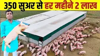 41 years of police job and then 2 lakh per month from Pig Farm | Pig Farming | Pig Farm Business