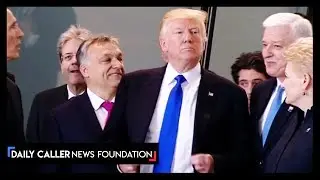 Every Time The Media Called Trump a 