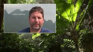 HANG SON DOONG, THE CAVE THAT BUILT A VILLAGE   THE REGENERATIVE TOURISM SAMPLE   YouTube