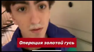 Операция золотой гусь