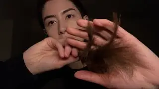 🪶Feathery tingles for your face and ears ASMR visuals + sounds